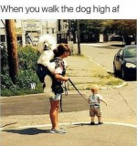 walking-dog-weed-meme-1024x876