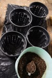 G13 Haze re-pot 20ltr 31.12 (5) (532x800)
