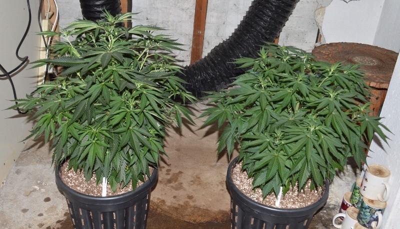 G13 Haze 8-9.01 (2) (800x459)