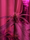 PXL_20220206_205421510
