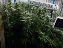 TP  week 6 day 3