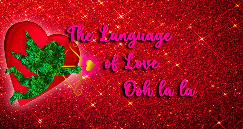 The Language of Love Ooh la la front