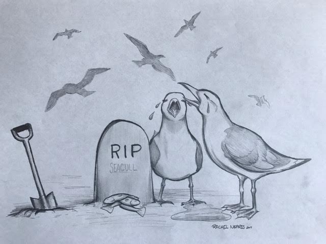 bird