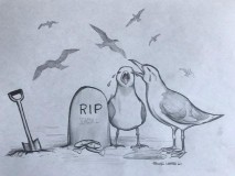bird
