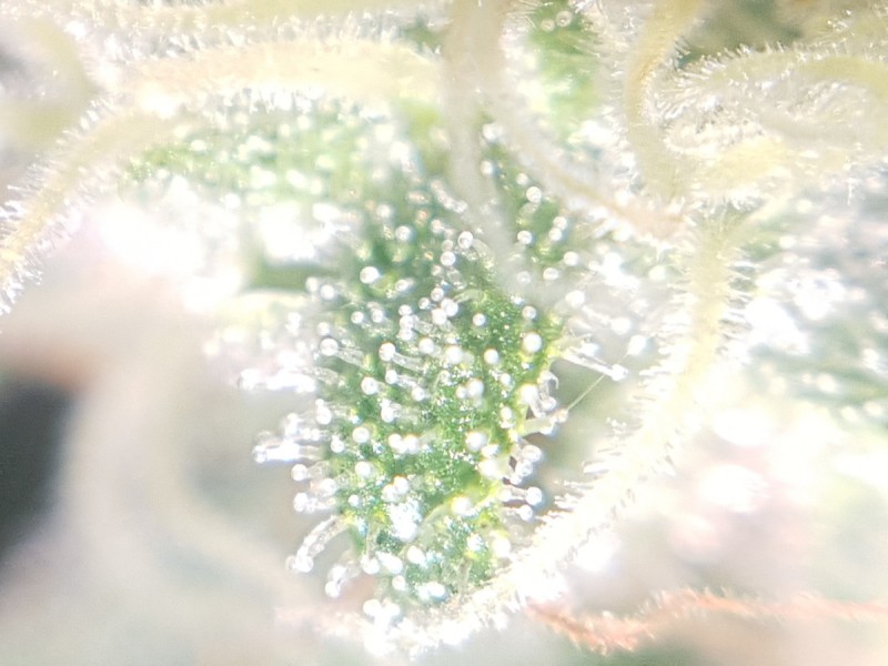 20190101_081918