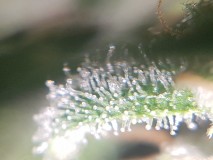 20190101_082017