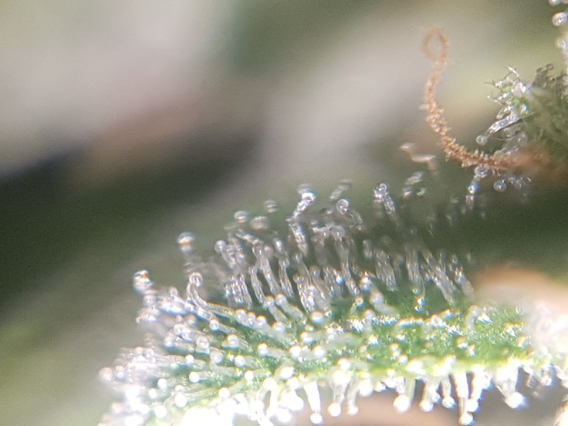 20190101_082021