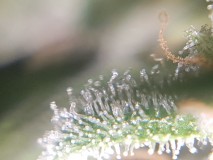 20190101_082021