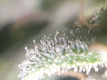 20190101_082025