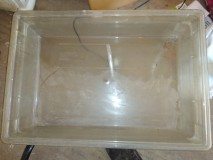 Flood and drain tray