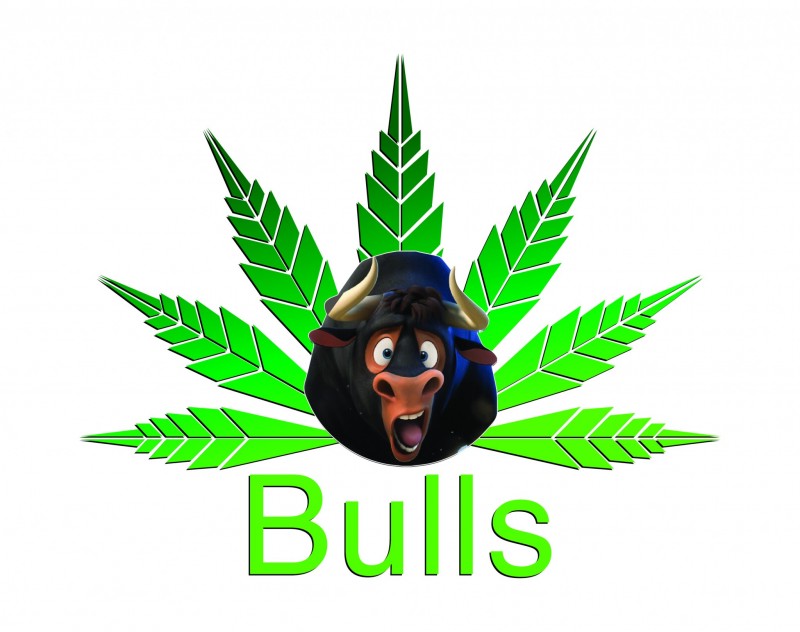 Bulls Logo_Final-02