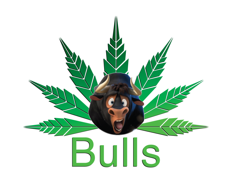 Bulls Logo_Final_Transp-03