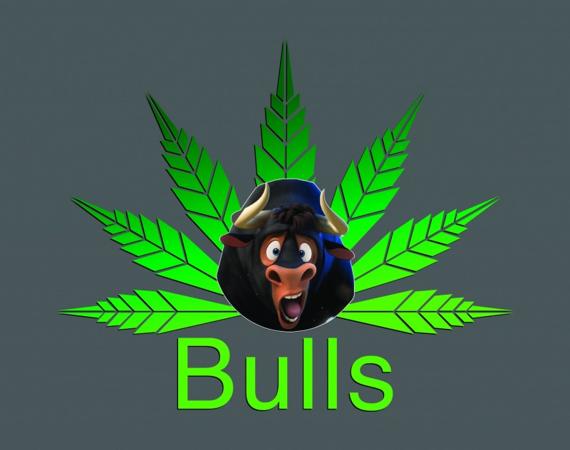 Bulls Logo_Final-01