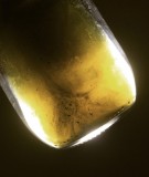 3C3810D9-3B5C-4846-936F-B54878822086