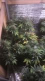 EB1C57C7-1FC6-4BDF-98C3-3CBD0D194407