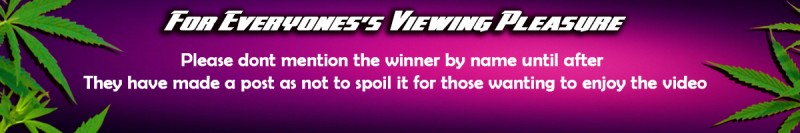 mn vid banner for your viewing pleasure a2