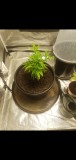 Screenshot_20220227-113149_Gallery