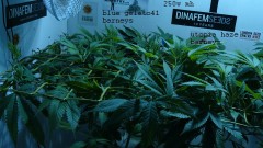 drobes 01 03 22 001