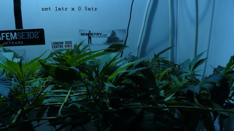 drobes 01 03 22 003
