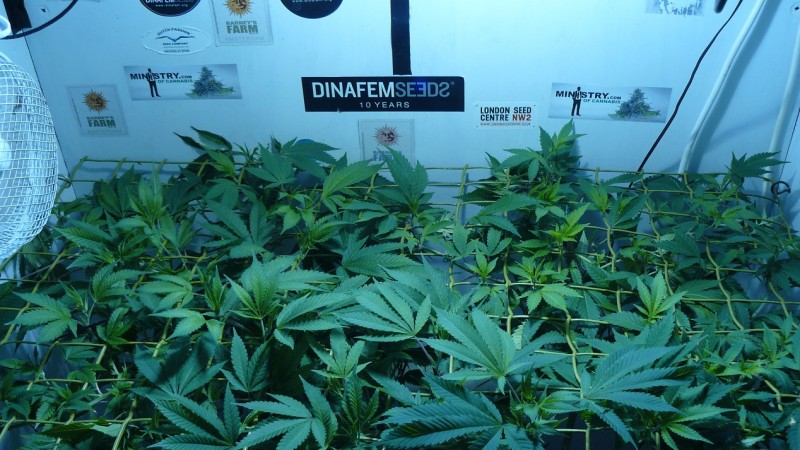 drobes 01 03 22 010
