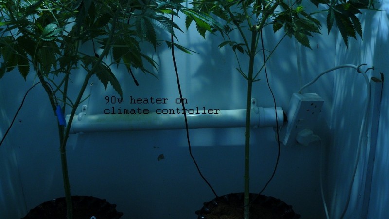drobes 01 03 22 011