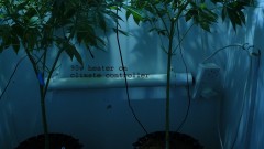 drobes 01 03 22 011