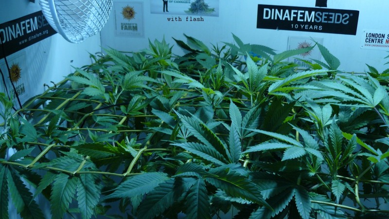 drobes 01 03 22 020