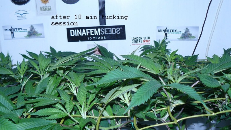 drobes 01 03 22 022