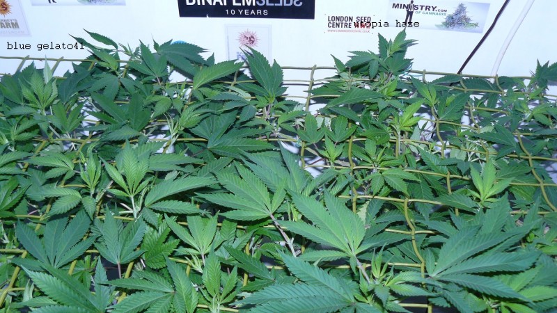 drobes 01 03 22 025