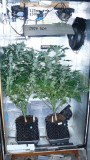 drobes 01 03 22 043