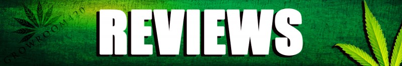 mn reviews banner