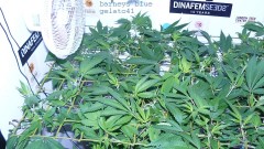 drobes 04 03 22 001