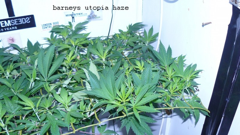 drobes 04 03 22 002