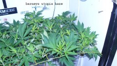 drobes 04 03 22 002