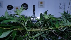drobes 04 03 22 004