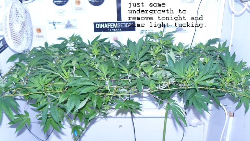 drobes 04 03 22 010
