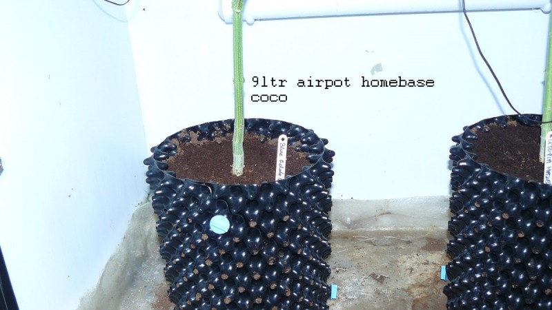 drobes 04 03 22 011