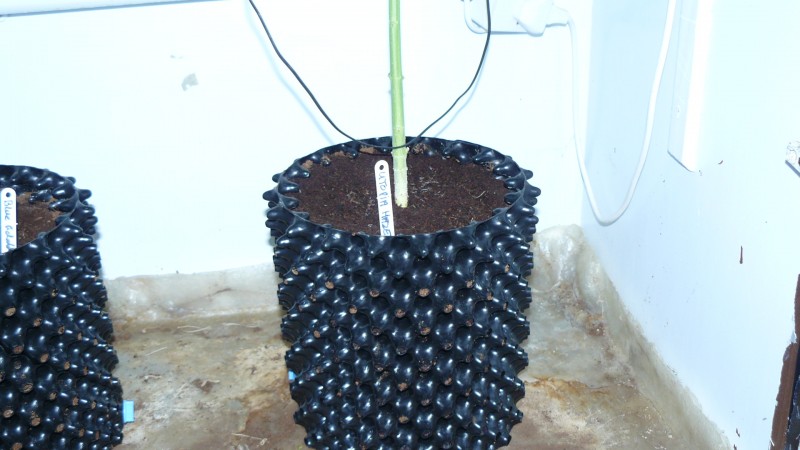 drobes 04 03 22 012