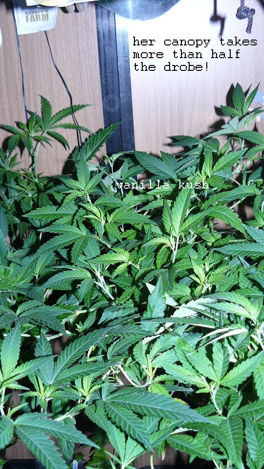 drobes 04 03 22 015