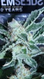 drobes 04 03 22 038