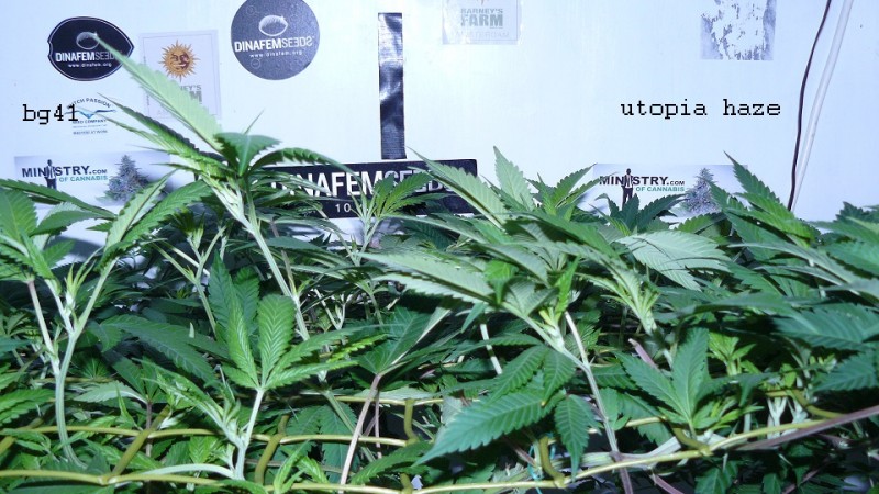 drobes 07 03 22 002