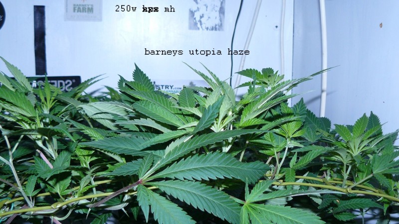 drobes 07 03 22 003