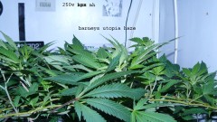 drobes 07 03 22 003
