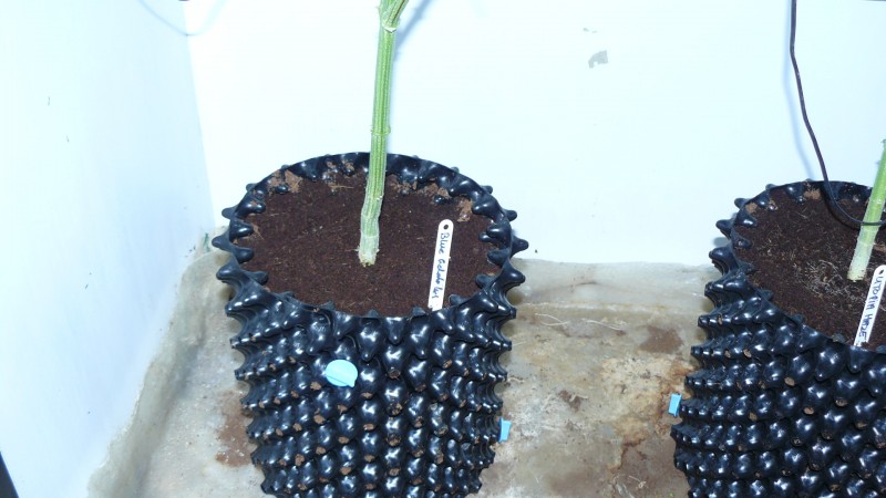 drobes 07 03 22 005