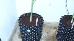 drobes 07 03 22 005