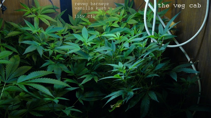 drobes 07 03 22 011