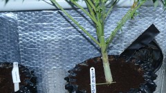 drobes 07 03 22 034
