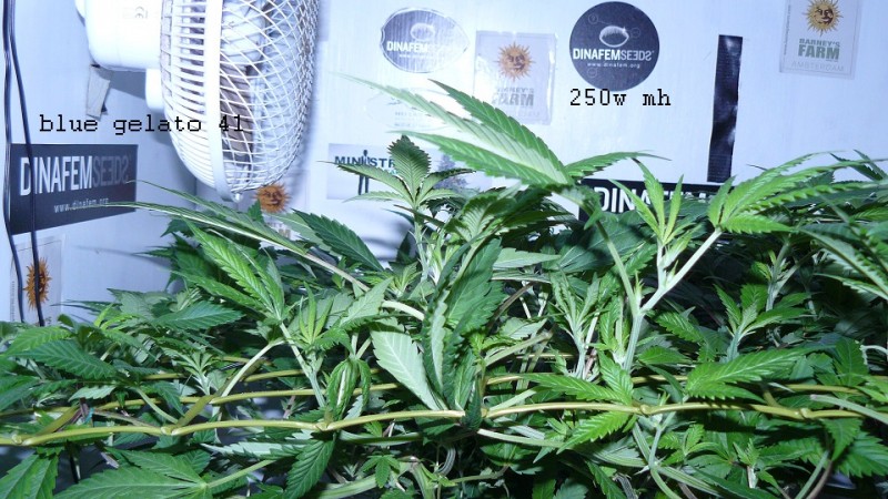 drobes 10 03 22 002