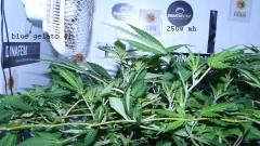 drobes 10 03 22 002