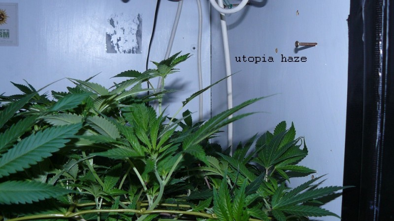 drobes 10 03 22 005
